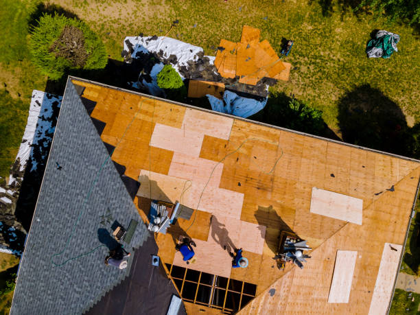 Best Roof Repair Services  in Glen Gardner, NJ