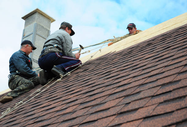 Best Roof Gutter Cleaning  in Glen Gardner, NJ